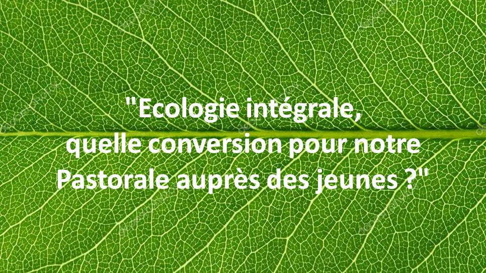 Écologie intégrale : réécoutez les podcasts de la journée "Tous Réseaux"